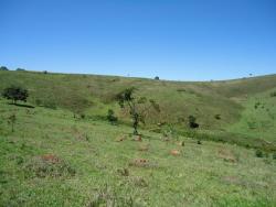 #215 - Fazenda para Venda em São Luís do Paraitinga - SP - 2