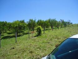 Fazenda para Venda em São Luís do Paraitinga - 4