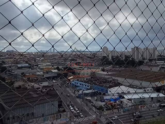 Apartamento para Locação em São Paulo - 5