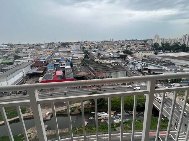 Apartamento para Locação em São Paulo - 4